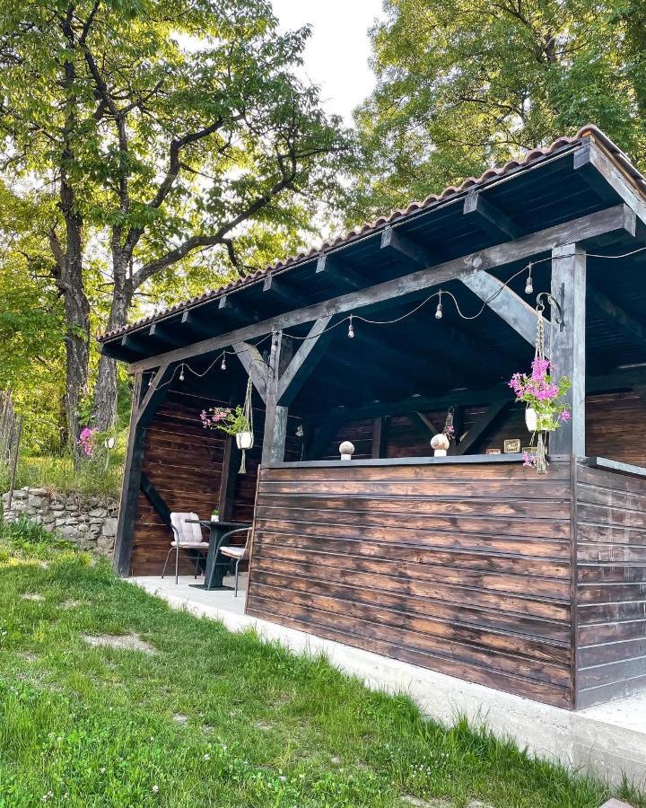 Transylvania Mountain View Cdi Bran  Exterior photo